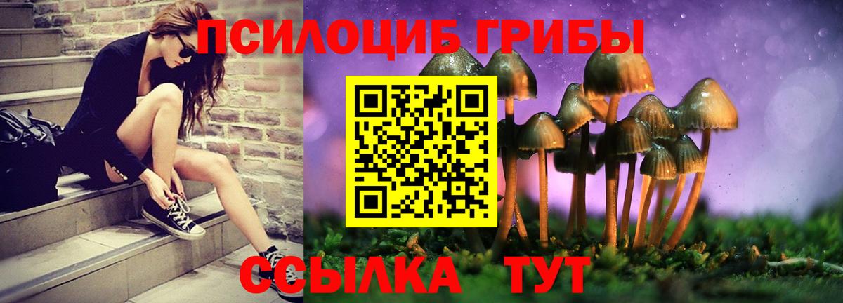 Черняховск  Галлюциногенные грибы ЛСД  Псилоцибиновые грибы мухоморы  Вход с VPN 