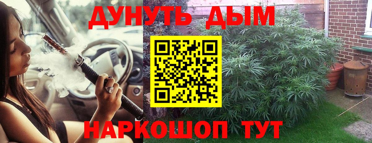 Канабис Ganja Черняховск